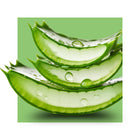 image of aloe leaf