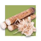 image of burdock root