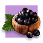 image of black currant