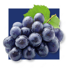 image of purple grapes