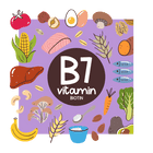 image of a B7
