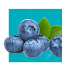 bowl of blueberries