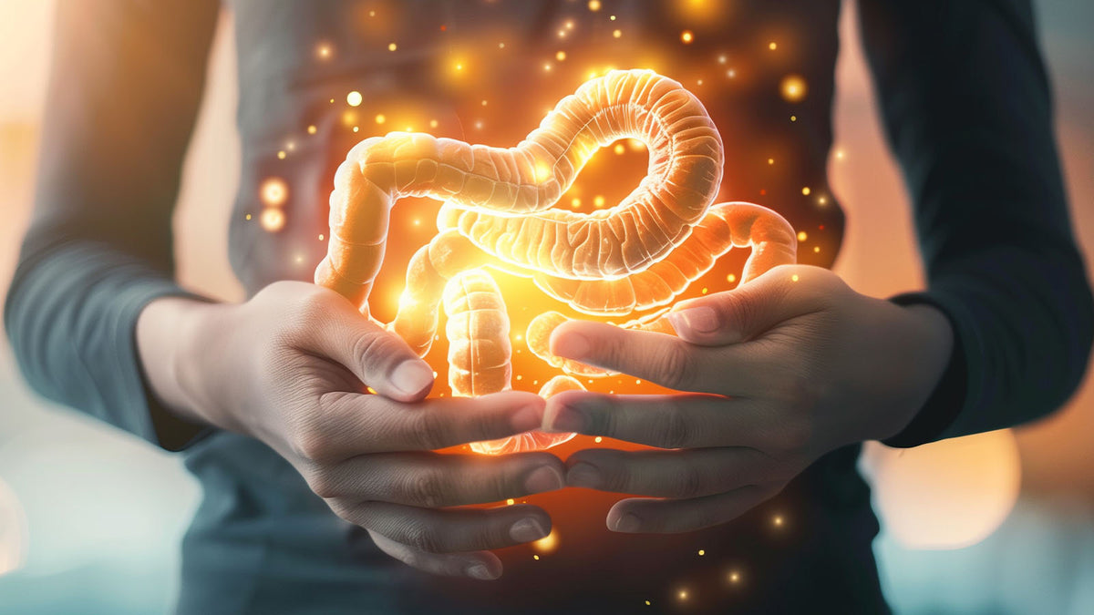 image of intestines