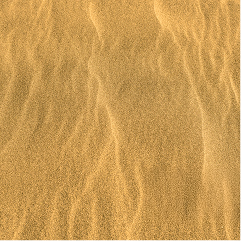 DRYNESS