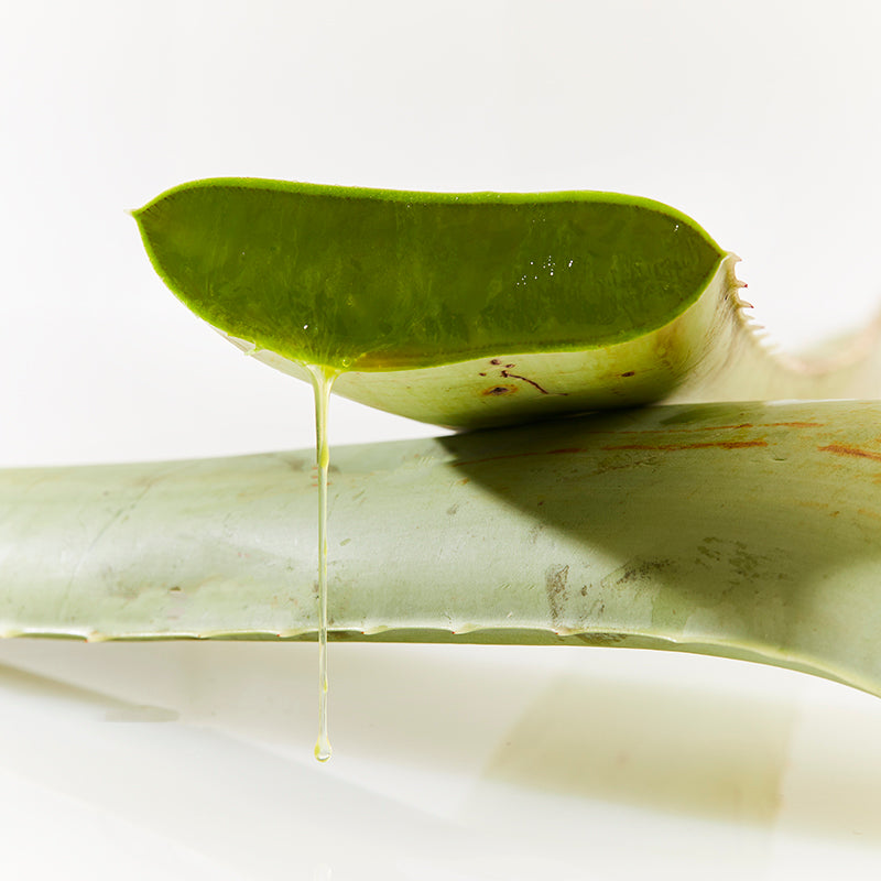 Ultimate Aloe™ - old
