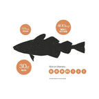Rastelli's Wild-Caught Icelandic Cod 6oz Filets  (Pack of 20)